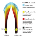 Inertia Plasma