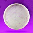 Crocs™ Inner Core