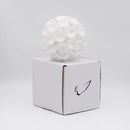 Suction Cup Ball - European Birdies