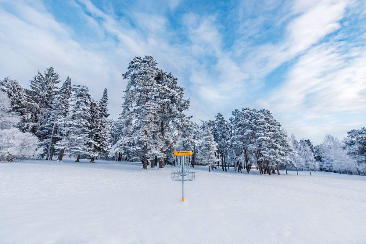 Pro Target - Tävlingskorg - Korg för discgolfbana