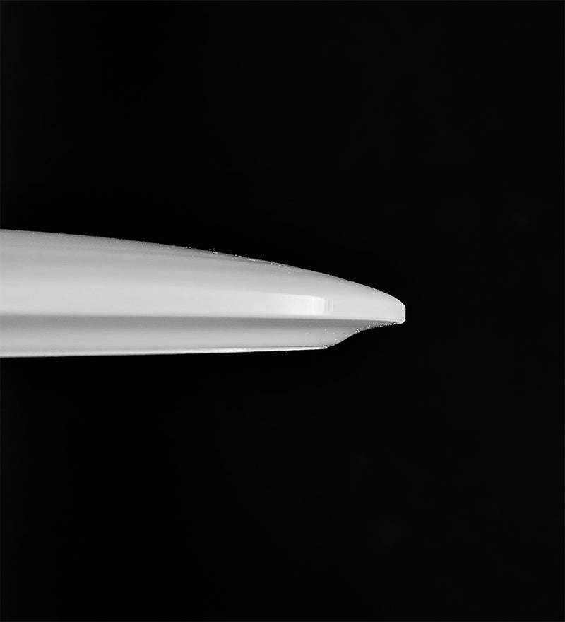 Fisken