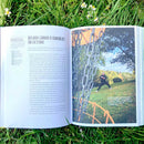 Discgolf  - 18 hål i mitt hjärta - En bok om discgolf