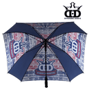 Dynamic Discs Arc Umbrella 60"